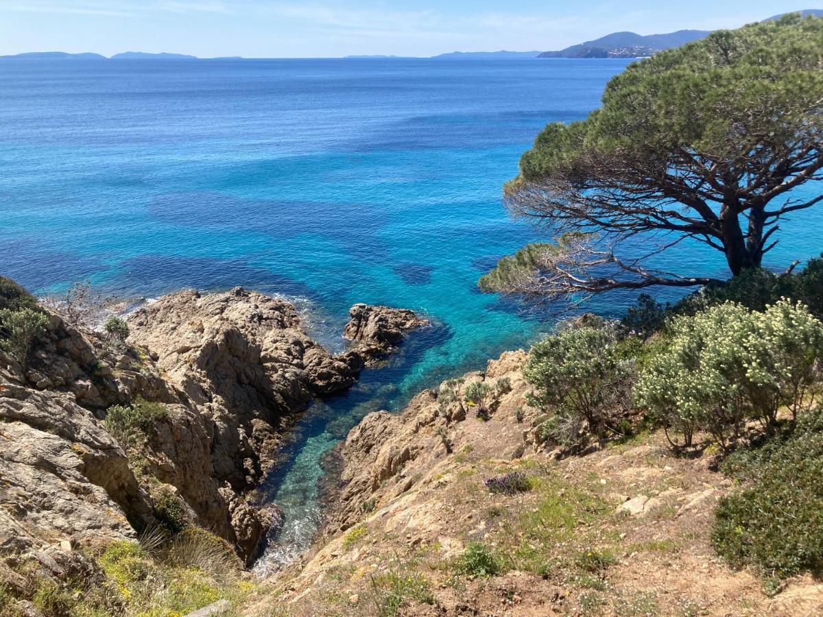 Le Petit Vue Mer La Croix-Valmer Εξωτερικό φωτογραφία